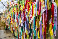풍경   #파주 에 갈일이 있어서 오랫만에 #임진각, #자유의다리, #Bridge_of_freedom, #독개다리, #DMZ, #임진강,#평화누리공원 #전망대를... 