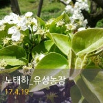 노태하- 유성농장