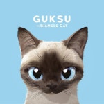 슈가캣 & 캔디도기 on Instagram: “Guksu the Siamese cat 샴고양이 국수 ⓒ Sugar Cat & Candy Doggie #sugarcat #portrait #cat... 