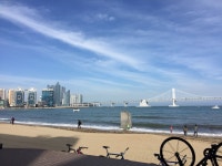 5/21 🏖 광안리