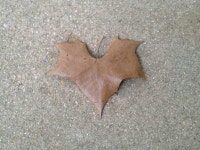 2013/9/20 @용산 가족 공원