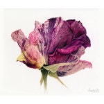 색연필 1 (colored pencil)에 있는 핀