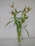 Pin by RARA on 꽃꽃이 in 2022 | Glass vase, Vase, Flowers