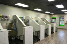 Just Dog Peoples 5 bay self service dog wash. | 애견