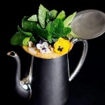 Charming Park님이 glass idea에 올린 칵테일