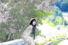 #국내여행 #지나가다 차 세우게 한 #라일락꽃 #보라보라 #portrait #photography #selfie #sensitive  라일락 꽃 향기 아래... 