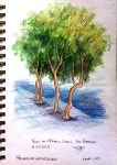 색연필 1 (colored pencil)에 있는 BongAe Song님의 핀 | 색연필