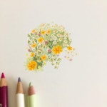 색연필 1 (colored pencil)에 있는 핀