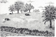 펜화에 있는 핀