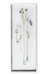 Flower constructions | 압화, 꽃장식
