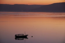 [백성호의 현문우답] 예수를 만나다 ⑧ 예수, “천국은 네 안에 있다.”(이미지 포함) | 하늘, 나무