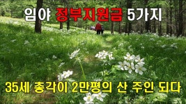 정부지원금의 임야개발로 돈버는 전원생활 - YouTube | 전원 생활, 안내책자, 현대 주거 건축