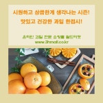오렌지_월드마켓에 있는 월드마켓 - 수입과일 온라인 쇼핑몰님의 핀 | 오렌지