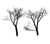 tree - Google 검색