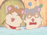 an : hamtaro에 있는 teo님의 핀 | 애니메이션, 아기들, 햄