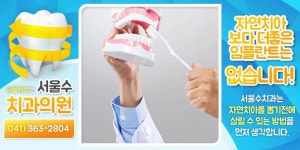 서울수치과 : 네이버 | 치과, 충치, 치아
