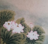 1번째 이미지 | 그림, 연꽃 그림, 칠하기