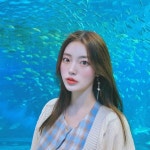 아쿠아리움 초딩 때 이후로 거의 첨 가봤는데 진짜 이쁘다... 계속 멍때리고 봄 ㅠ  담엔 오키나와로 고래상어 보러 가야지 😌 #제주아쿠아플라넷