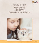 내가 쓰담쓰담해줄때마다 고양이가 하품을 해..그냥 졸려서 그런걸까? - 악플달면 쩌리쩌려버려 - ＊여성시대＊ 차분한 20대들의 알흠다운 공간... 