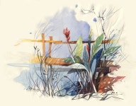 water color | 수채화