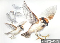 (정시)   국민대 의상디자인 합격!!   덕성여대 복수합격!   김0희(분당대진고졸)   분당 서현창조의아침 미술학원 | 그리기 아이디어, 스케치, 새