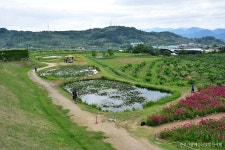 [청도여행] 청도읍성, 작약꽃이 어우러진 읍성의 운치 | Golf courses, Golf