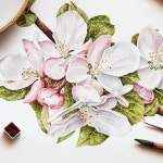 수채화 illustrator에 있는 핀