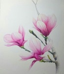 꽃그림에 있는 상림님의 핀 | 수채화 아트, 색연필 그림