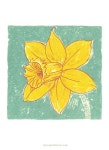 소소하루 sosoharu