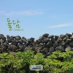 They are called 돌담 [dol-dam] in Korean.   돌 [dol] = stone 담 [dam] = fence, wall  담을 … | 동백나무, 돌, 자연