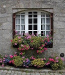 예쁜창에 있는 요한나김님의 핀 | 정원 가꾸기, 정원 아이디어, 정원 사진