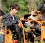 NCT 127에 있는 이민형🍉님의 핀