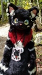 Pin by 홍이 on 퍼슈트 | Cat furry, Furry fursuit, Furry art