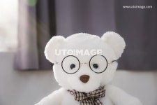 사진, 오브젝트, 생활, PHO539a, 사진, 곰, 곰돌이, 인형, 곰인형, 모양, 모형, 실내, 귀여운, 포근한, 테디베어, 안경 | 곰인형, 곰, 인형