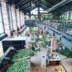 Green cafe 글린공원 | 인테리어