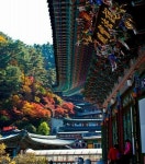 Korea에 있는 Korean Korea님의 핀 | 여행, 한국, 아름다운