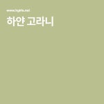 하얀 고라니 - 2020 | 연예인, 윤아, 올 블랙