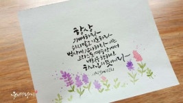 성경구절캘리그라피/인천애광교회/인천캘리그라피/묵선김정미캘리그라피/영종도캘리그라피/수채화캘리그라피/붓펜캘리그라피 | 성경