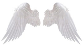 Pin by 서누 강 on 성훈 | Angel wings png, Wings png, Wings drawing