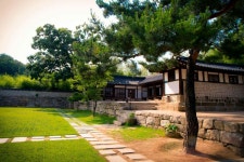 북서울 꿈의 숲 | 숲