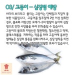 레시피스토어님의 스토리 | 요리법