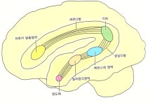 어울림특수체육센터 | 세계