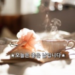★오늘은 좋은 날입니다★     오늘은 왠지 좋은 일들이 있을 것만 같습니다.    오늘 열리는 아침이 더욱 깨끗하여 새롭고    오늘 찾아온 햇빛이... 