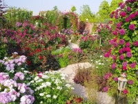 garden - Google 검색