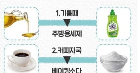 세탁소 사장님도 인정한 세탁 꿀팁 30개 - 2023 | 세탁소, 청소 팁, 아이디어