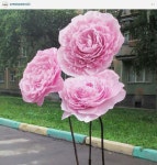 Paper flowers wedding | 공예
