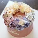 올리케이크 Ollicake (@ollicake) | Instagram photos and videos