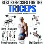 Pin on 웨이트트레이닝