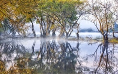 Fog and Reflections of Lake Dawn in Autumn 가을  호수 새벽안개와  반영 | Landscape, Cool landscapes, Lake