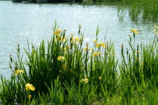 후아유 미술학원 (목동) / 미대입시, 예중, 예고, 미대편입, 임용미술, 취미미술  *상담: 02-6032-0034 | 사진